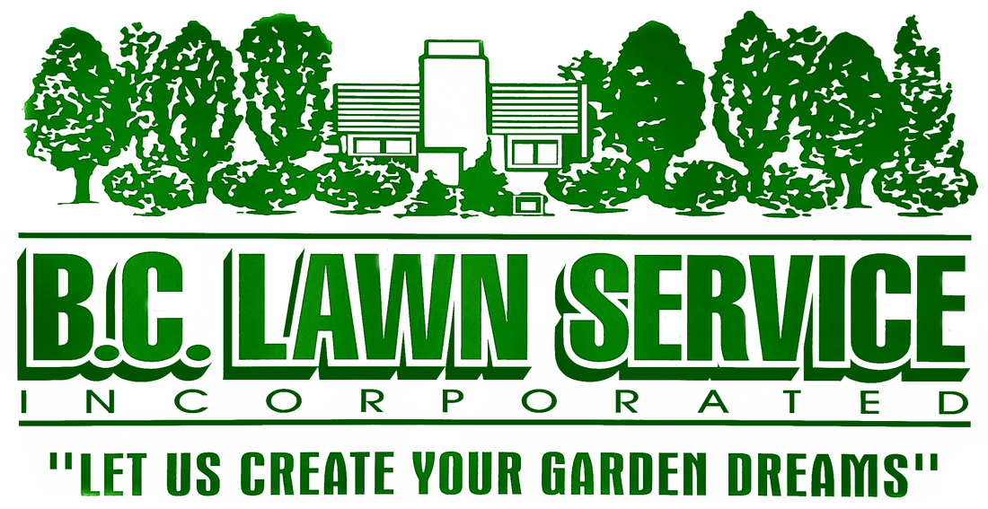 BC Lawn Service